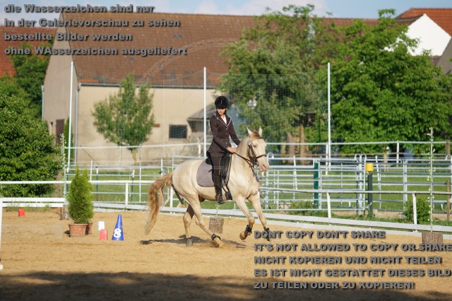 s_K3F05353.JPG
